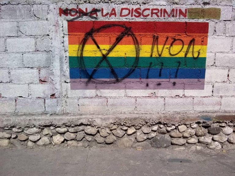 Lun des drapeaux placé sur un mur a la rue Alix Roy Turgeau