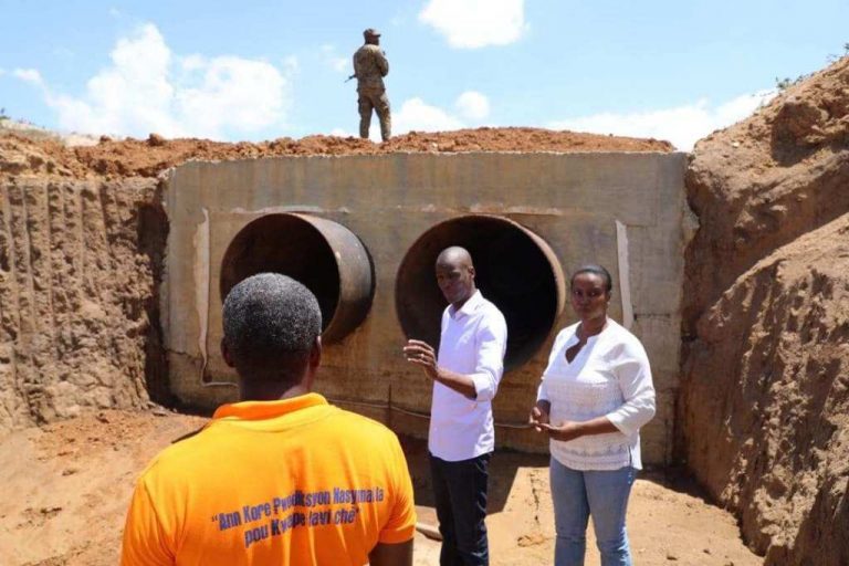 Moise ak madame li Terrier rouge 1