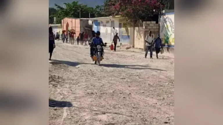 <strong>La terreur des membres du gang de Vitelhomme</strong>