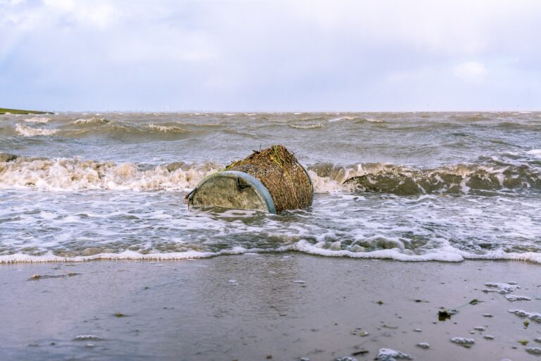 Nouvèl kout an kreyòl