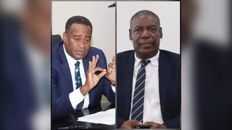 Deux ministres, présumés gangsters, révoqués