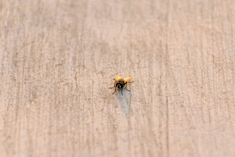 <strong>Choléra: vers la re-mobilisation des Équipes Mobiles d’Intervention Rapide</strong>