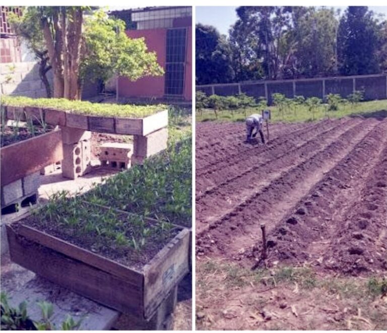 Inauguration du Parc Technologique Agricole des Cayes