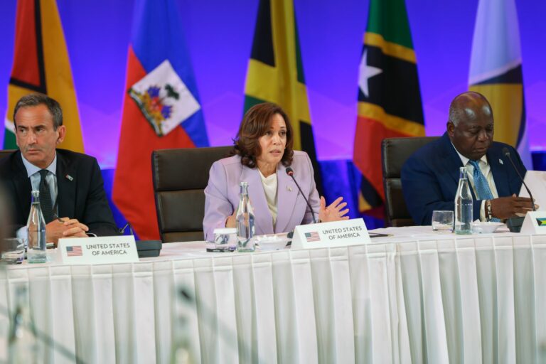 Des dirigeants politiques qui vendent, à la découpe, leur propre pays