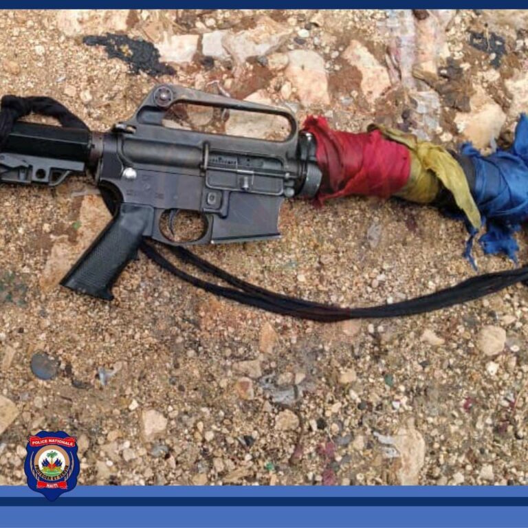 Plus de 8 000 victimes de la violence, en 11 mois, en Haïti 